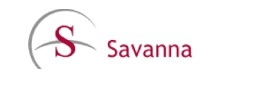 Savanna Well Servicing